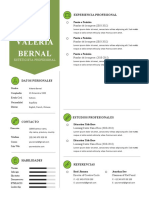 Plantilla CV 1