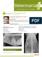 2015 Sept Diagnostic 2.fr - Es