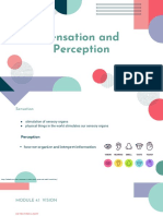 Sensation and Perception 2