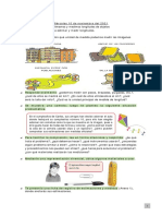 Matematica 10-11-2021