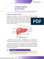 Marcadores Laboratoriais Da Função Hepática e Proteinograma e Bioquímica Pediátrica