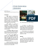Dna Extraction From Musa Acuminata