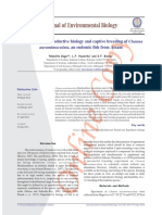 Studies On The Reproductive Biology and Captive Breeding of Channa Aurantimaculata, An Endemic Fish From Assam