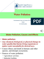 Water Pollution: Environmental Issues in Lebanon (ENVI004) Beirut Dr. Safa Baydoun