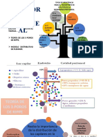 Dialisis Peritoneal