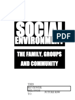 Social Work Environment