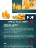 Diapositivas de Aguaymanto