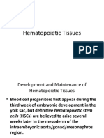 Histologi Hematopoeitik