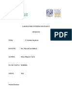 Laboratorio Interdisciplinario I Geología Tema 3 Diana Minjares Cortés