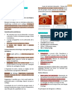 CP - Neoplasias Da Laringe