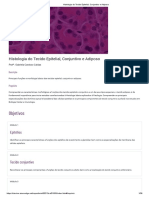 Histologia Do Tecido Epitelial, Conjuntivo e Adiposo