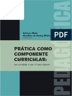 Mohr e Wielewicki 2017 Orgs Pratica Como Comp Curricular