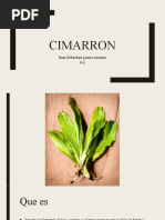 Cimarron