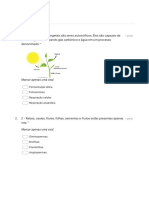 Avaliação Sobre As Plantas 7° Ano