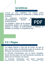 Factores Bióticos (Plagas, Enermedades y Malezas)