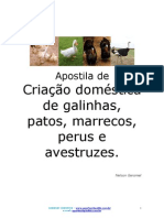 Dicas de Criação