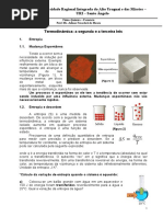 Segunda e Terceira Lei Termodinâmica - FQ