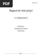 Rapport de Mini Projet