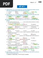 (2) ĐỀ SỐ 7 13 - 11