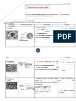Ultrastructure de La Cellule Animale