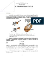 Roteiro Rotacao v1