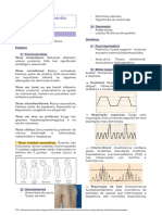 Semiologia Respiratória - Resumo