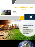 La Contaminación y Sus Causas