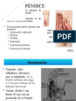 APENDICITIS