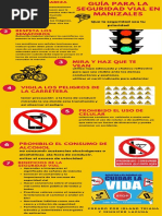 Infografia Seguridad Vial