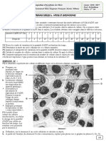 Série TD, Mitoses & Chromosomes