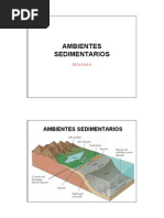 Ambientes Sedimentarios y Estratigrafia (1) .Pdf22