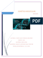 Genetica Molecular