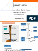 Anatomía Quirúrugica Esófago y Estómago