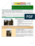 VIÑEDO - Riesgos Ergonómicos en La Poda y Aplicación de Tratamientos