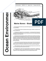 Marine Borers Bio Deterioration