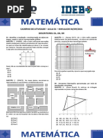 Aula 01 - Caderno de Questões - 9 ANO