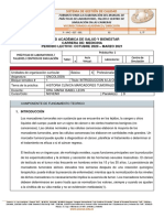 Informe de Practicas 1. Cancer de Testiculo