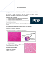 Les Tissus Musculaires