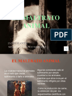 EL MALTRATO ANIMAL - Powr Point