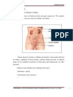 Introduction To Urinary System:-: Antilithiatic Activity of Ethanolic Extract of Dried Leaves of Fragaria Vesca Linn."