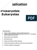 DNA Replication Prokaryotes Eukaryotes