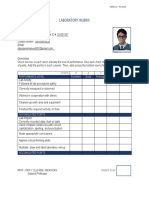 Laboratory Rubric: Directions