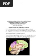 Curso Neurolectura y Aprendizaje Acelerado (08-07)