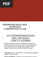 Terminología Médica Del Aparato Cardiovascular