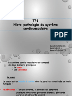 TP1 M2 PCP - PMCV-2020 Aouichat