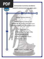 UNIDAD 5 - Metodología de Los Sistemas Blando