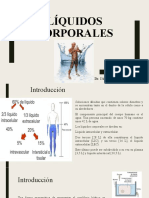 Líquidos Corporales