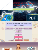 Reacciones Biosinteticas de Los Microorganismos