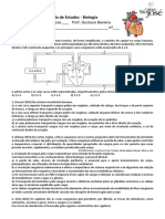 Bio 2ano 3tri SistemaCirculatorio Gustavo