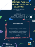 Aplicación de Matrices, Determinantes y Sistemas de Ecuaciones